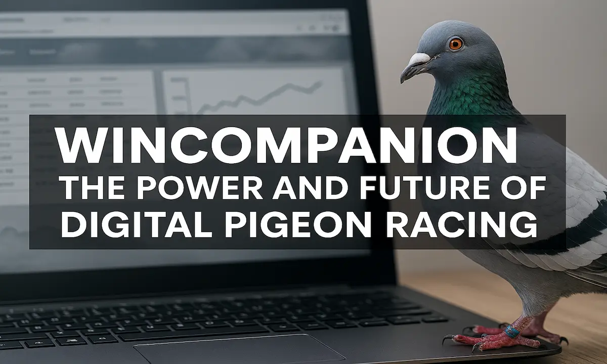 Wincompanion The Digital Backbone of Pigeon Racing